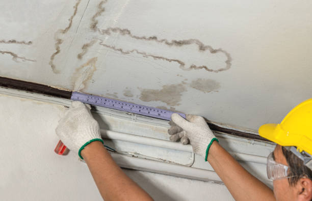 Reliable Basement Water Removal contractor in Welch, WV by Water Damage Irwin